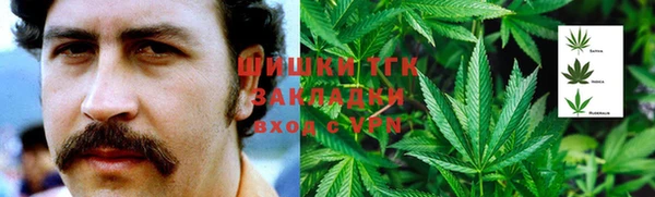 СК Аркадак
