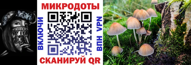 ссылка на мегу маркетплейс  Междуреченск  Галлюциногенные грибы Magic Shrooms 