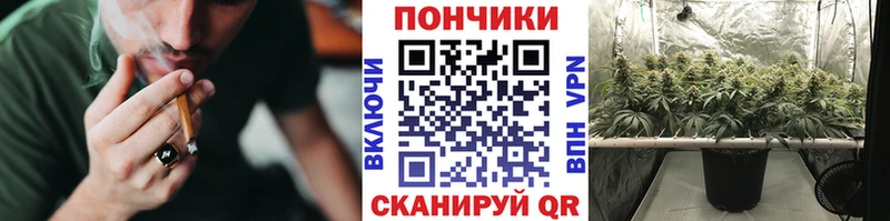 omg зеркало  Междуреченск  Бошки Шишки MAZAR 